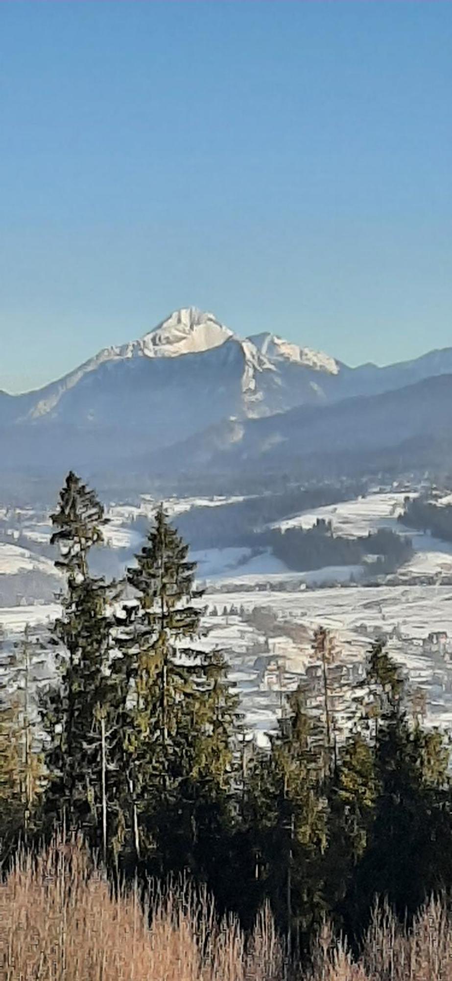 Willa Wygrodzisko Zakopane Exterior foto