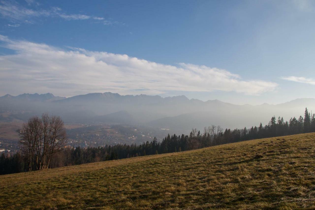 Willa Wygrodzisko Zakopane Exterior foto